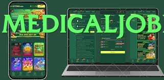 ZK77 interface sample